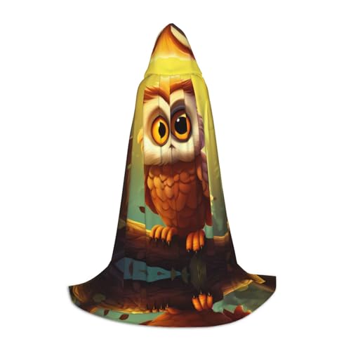 PHAYAH Kapuzenumhang mit Cartoon-Eulenmuster, Hexe, Halloween-Kostüme für Cosplay, Maskerade, Damen und Herren, Größe L PHAYAH Kapuzenumhang mit Cartoon-Eulenmuster, Hexe, Halloween-Kostüme für Cosplay, Maskerade, Damen und Herren, Größe L von PHAYAH