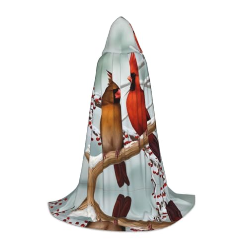 PHAYAH Kapuzenumhang mit Vogelmuster, Halloween, Erwachsene, Damen, Herren, Halloween, Verkleidung, Party, Cosplay, Kostüme, Größe M PHAYAH Kapuzenumhang mit Vogelmuster, Halloween, Erwachsene, Damen, Herren, Halloween, Verkleidung, Party, Cosplay, Kostüme, Größe M von PHAYAH