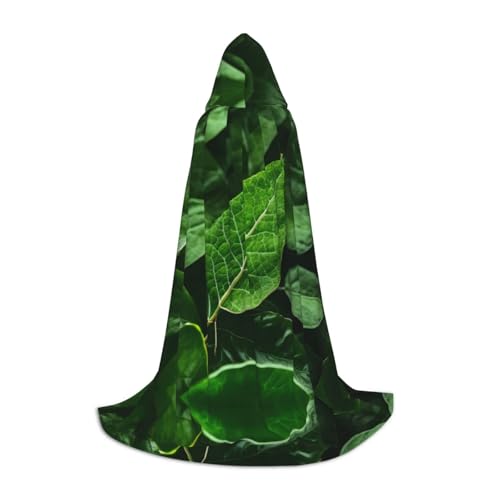 PHAYAH Umhang mit Kapuze für Erwachsene, mit Naturmuster, für Maskerade, Cosplay, Halloween, Hexenumhang, Weihnachten, Party, Robe, Größe L PHAYAH Umhang mit Kapuze für Erwachsene, mit Naturmuster, für Maskerade, Cosplay, Halloween, Hexenumhang, Weihnachten, Party, Robe, Größe L von PHAYAH