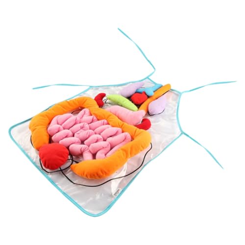 PHENOFICE 1 Satz Menschliche Eingeweide Schürze Kinder Schaufensterpuppe Kinderpuzzle Körperschürze 3D Menschliche Schürze Körper Anatomie Lätzchen Wissenschafts-Kits Für Kinder Plastik von PHENOFICE