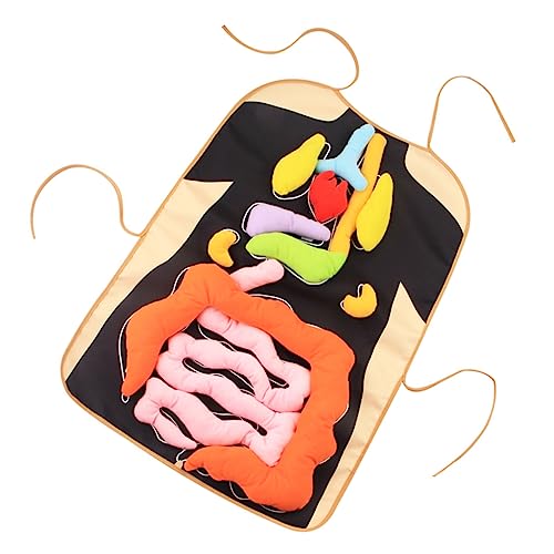 PHENOFICE 1 Satz Orgelspielzeug Modell Der Inneren Organe Unterrichtsschürze Spielzeug Für Babys 3D-schürze Kleinkindspielzeug Cartoon-schürze Grillschürzen Lebensmittelspielzeug Twill-Stoff von PHENOFICE