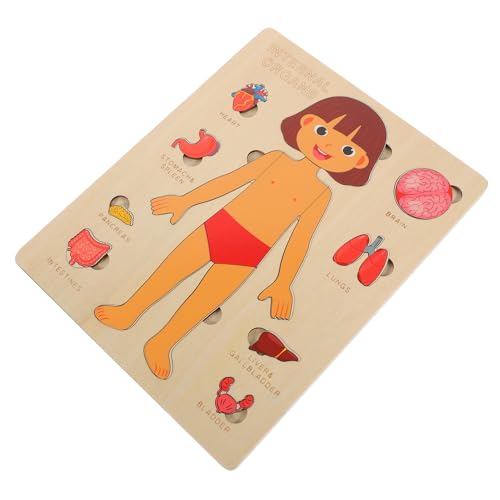 PHENOFICE 1 Set Strukturpuzzle Für Den Menschlichen Körper Kinderspielzeug Puzzle Teile des Menschlichen Körpers Spielzeug Puzzle Für Den Menschlichen Körper Spielzeug Für von PHENOFICE