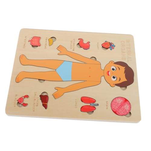 PHENOFICE Holzpuzzle Körper Spielzeug für Kinder Pädagogisches Puzzle mit Holzmaterial Lernspielzeug für Körperorgane Kognitives Spielzeug für Frühe Bildung PHENOFICE Holzpuzzle Körper Spielzeug für Kinder Pädagogisches Puzzle mit Holzmaterial Lernspielzeug für Körperorgane Kognitives Spielzeug für Frühe Bildung von PHENOFICE