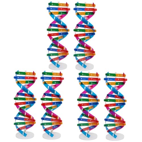 PHENOFICE 6 STK DNA-Modell für den Unterricht Bildungsmodell für Kinderwissenschaften wissenschaftliches Spielzeugset molekularbiologie Double Helix deko Werkzeug Bildungs-DNA-Modell Abs von PHENOFICE