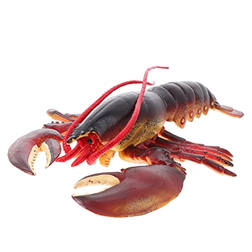 PHENOFICE Hummer-Modell-Ornament Meerestierfiguren Badespielzeug für Kinder Hummer Spielzeug Hummer Figur Tierfiguren für Kinder kinderspielzeug Meerestierspielzeug Hummerfigur Handwerk PVC PHENOFICE Hummer-Modell-Ornament Meerestierfiguren Badespielzeug für Kinder Hummer Spielzeug Hummer Figur Tierfiguren für Kinder kinderspielzeug Meerestierspielzeug Hummerfigur Handwerk PVC von PHENOFICE