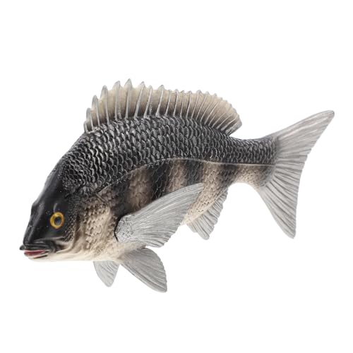 PHENOFICE Simulation Afrikanischer Karausche Kinder Fischspielzeug Black Snapper Figur Spielzeug Kinderspielzeug Kidcraft Spielset Ozeanspielzeug Kinder Kognitives Spielzeug Simulation PHENOFICE Simulation Afrikanischer Karausche Kinder Fischspielzeug Black Snapper Figur Spielzeug Kinderspielzeug Kidcraft Spielset Ozeanspielzeug Kinder Kognitives Spielzeug Simulation von PHENOFICE