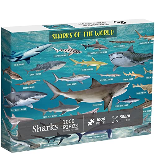 Hai Puzzles für Erwachsene 1000 Teile und höher, Ozeanfisch Puzzle von Wal Hammerhead Tolles Weiße Haie Puzzle, Marine Natur Puzzle Meer als Hai Geschenk von PICKFORU