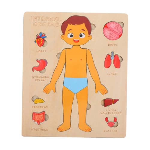 PLAFOPE 1 Set Menschliche Körperteile Puzzle Für Kinder Holz Anatomie Passendes Puzzlebrett Vorschulspielzeug Kognitives Puzzle Englisch Junge von PLAFOPE