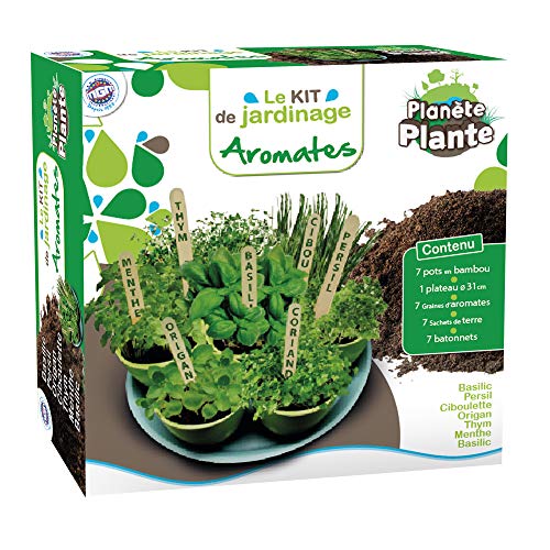 PLANETE PLANTE - 7 biodegradable Töpfe und aromatische Samen zum Pflanzen auf einem Tablett - Garten-Set - 170032 - Bambus - Garten - Natur - Pflanze - Blumen - Spielzeug für Kinder - Ab 4 Jahren von PLANETE PLANTE