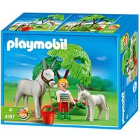 PLAYMOBIL® 4187 Esel mit Fohlen von PLAYMOBIL® COUNTRY