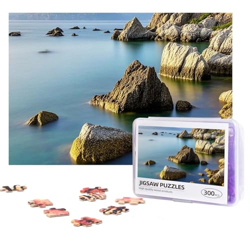 Design Name Puzzles 300 Teile Personalisierte Puzzles Fotos Puzzles mit Aufbewahrungstasche, herausforderndes Bilderpuzzle für Erwachsene, Heimdekoration, Hochzeit (38,1 x 25,9 cm) von PMQAGNKSMQ