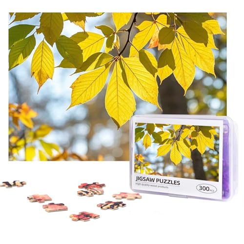 Design Name Puzzles 300 Teile Personalisierte Puzzles Fotos Puzzles mit Aufbewahrungstasche, herausforderndes Bilderpuzzle für Erwachsene, Heimdekoration, Hochzeit (38,1 x 25,9 cm) von PMQAGNKSMQ