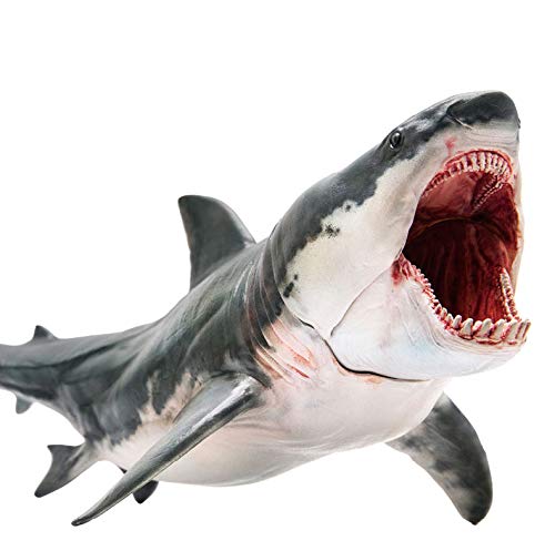 PNSO Megalodon Barton Dinosaurier Modell Spielzeug Sammelfigur Kunst Figur PNSO Megalodon Barton Dinosaurier Modell Spielzeug Sammelfigur Kunst Figur von PNSO