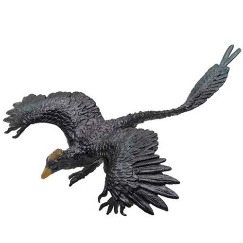 PNSO Microraptor Dinosaurier Modell Spielzeug Sammelfigur Kunst Figur von PNSO