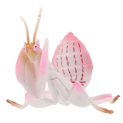 POPETPOP Realistisches Insektenmodell Mantis Figur Kunststoff für Lernspielzeug und Desktop Deko Detailgetreue Nachbildung für Schule Kindergarten und Zuhause POPETPOP Realistisches Insektenmodell Mantis Figur Kunststoff für Lernspielzeug und Desktop Deko Detailgetreue Nachbildung für Schule Kindergarten und Zuhause von POPETPOP