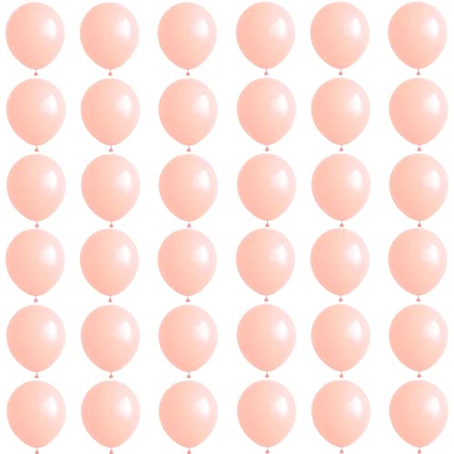 Kleine Luftballons Mini Pastell Orange 5 Zoll,36 Stück Macaron Orange Luftballons Helium Ballons,Latex Luftballons für Geburtstag,Hochzeit,Geschlecht Offenbaren,Brautdusche,Babyparty Dekorationen von POPOYU