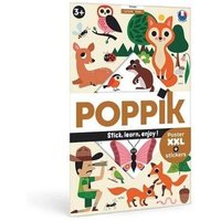 POPPIK 1841224 Sticker Lernposter Wald von POPPIK