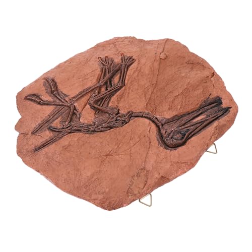 PRETYZOOM 1Stk Dinosaurier- -Modell Velociraptor-Figur Dinosauriermodell Fossilien Dekoration Flugsaurier-Modell Heimdekoration Dinosaurier-Modell zum Aufhängen an der Wand Harz Brown von PRETYZOOM