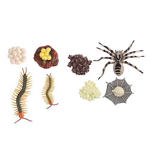 PRETYZOOM 2 Sätze Tierische Wachstumszyklus Modelle Tarantel und Hundertfüßer Lernspielzeug Plastische Kognitive Dekoration für Biologisches Verständnis PRETYZOOM 2 Sätze Tierische Wachstumszyklus Modelle Tarantel und Hundertfüßer Lernspielzeug Plastische Kognitive Dekoration für Biologisches Verständnis von PRETYZOOM