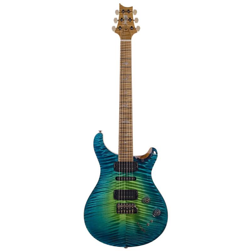 PRS Private Stock Modern Eagle V E-Gitarre von PRS