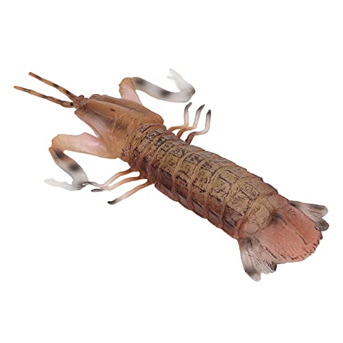 PUNELE Vivid Mantis Shrimp Model Toy für Kinderbildungszwecke, Solide Simulations -Meerestier von PUNELE