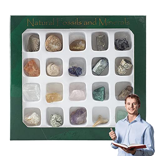 PURBLE Mineral Kit | Rock Collection Box | Minerals Rocks Crystals Collection Geowissenschaften Industries Klassenzimmer Trainingshilfe von PURBLE