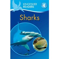 Kingfisher Readers: Sharks (Level 4: Reading Alone) von Pan macmillan Ltd.