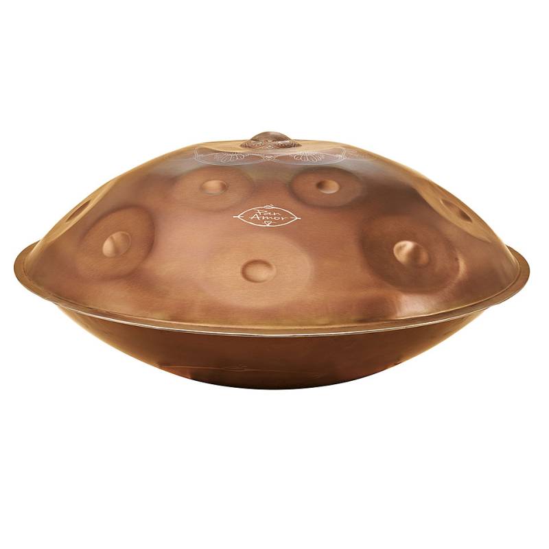 PanAmor PA13 Stainless Steel D Mixolydian 11 Tones Handpan von PanAmor