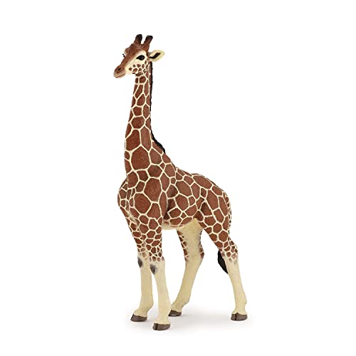 Papo -Handbemalt - Figuren -Wildtiere Der Welt-Giraffenmännchen-50149-Sammelbar-Für Kinder - Geeignet für Jungen und Mädchen - Ab 3 Jahren von Papo