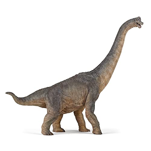 PAPO - BRACHIOSAURE - Kunststofffigur - ab 3 Jahren - Dinosaurier Kollektion - handbemalt - Maße 36x9x31 cm - Kinderspielzeug - langlebig und lehrreich - ideale Geschenkidee von Papo