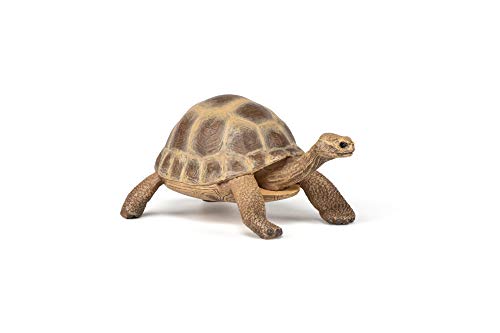 PAPO -Handbemalt - Figuren -Wildtiere Der Welt-Hermanns Schildkröte-50264-Sammelbar-Für Kinder - Geeignet für Jungen und Mädchen - Ab 3 Jahren von Papo