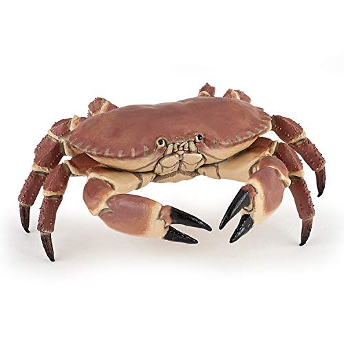 Papo - Crabe REALISTE - Pädagogische Meeresfigur - ab 3 Jahren - Sea World - handbemalt - REGT die Fantasie an - 8cm x 7,5cm x 2,5cm - pädagogisches Spielzeug - Geschenkidee von Papo