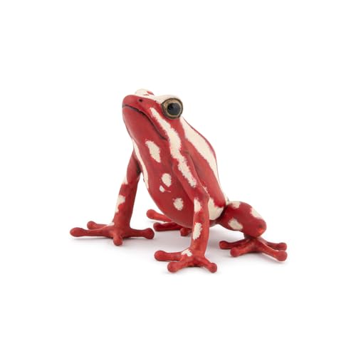 Papo - Handbemalte Figur - Dreifarbiger Pfeilgiftfrosch - Tropische Waldtiere - Sammlerstück - für Kinder - Jungen und Mädchen - ab 3 Jahren von Papo