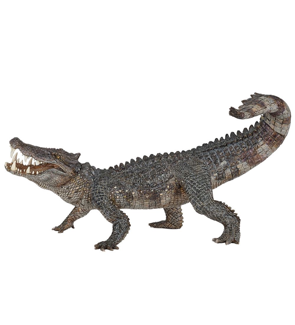 Papo Kaprosuchus - L: 21 cm - Papo - One Size - Dinosaurier Papo Kaprosuchus - L: 21 cm - Papo - One Size - Dinosaurier von Papo