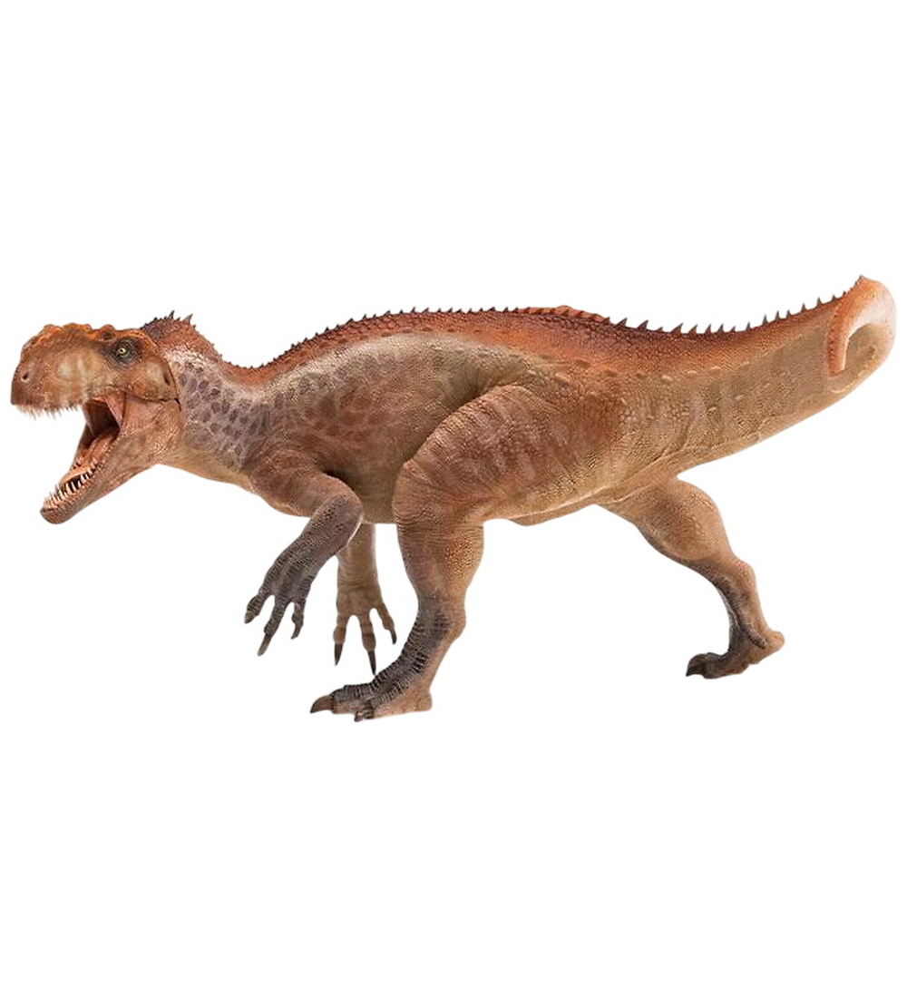 Papo Yangchuanosaurus - 11 cm - Papo - One Size - Dinosaurier Papo Yangchuanosaurus - 11 cm - Papo - One Size - Dinosaurier von Papo