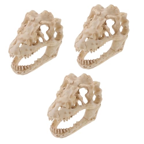 PartyKindom 3 Stück Harz Reptil Dinosaurier Schädel Modell Simulierter Schädel Dinosaurier Skelett Modell Halloween Dekor Dinosaurier Knochen Dekor Reptil Dekor Harz Schädel Ornament Mini von PartyKindom