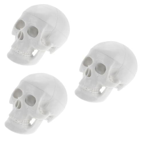 PartyKindom 3St Schädelmodell Halloween-Schädeldekoration Schädelfiguren Kopfknochenmodell Kopfmodell Anatomisches Modell Schädel Deko Halloween-Schädel- Halloween-Party- PVC Weiß von PartyKindom