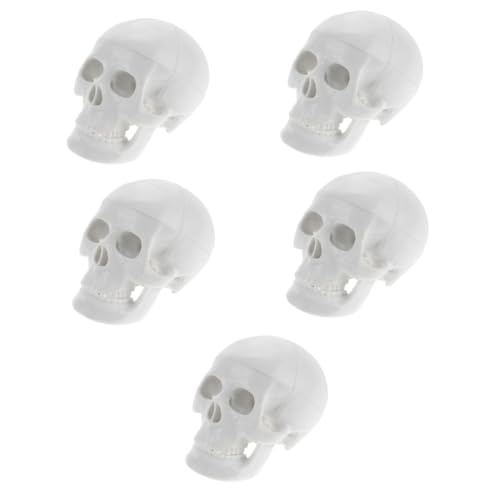 PartyKindom 5st Schädelmodell Realistischer Menschlicher Schädel Anatomischer Kopfknochen Schädelknochenmodell Realistischer Schädel Schädelfiguren Schädel Medizinisches Modell Weiß Pvc von PartyKindom