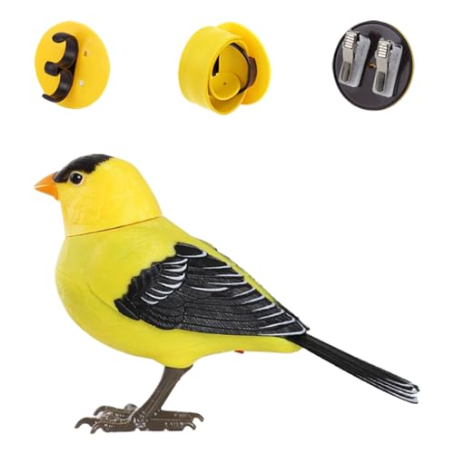 Patifirst Bird Spielzeug Für Kinder | Elektronisches Vogelspielzeug - Realistischer Sprechender Elektronischer Schreibtisch Haustier Für Sensorisches Spiel Geburtstag Zimmer Deko Patifirst Bird Spielzeug Für Kinder | Elektronisches Vogelspielzeug - Realistischer Sprechender Elektronischer Schreibtisch Haustier Für Sensorisches Spiel Geburtstag Zimmer Deko von Patifirst