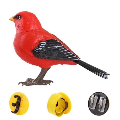 Patifirst Vogel Spielzeug Für Kinder - Elektrischer Singvogel - Realistische Süße Tierfigur Zur Interaktion Mit Sprachfunktion Als Tischdekoration Und Haustierbeschäftigung Patifirst Vogel Spielzeug Für Kinder - Elektrischer Singvogel - Realistische Süße Tierfigur Zur Interaktion Mit Sprachfunktion Als Tischdekoration Und Haustierbeschäftigung von Patifirst