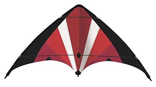 Günther Flugspiele 1070 - Sportlenkdrachen Power Move, ca. 130 x 69 cm, Drachen aus reißfestem Ripstop-Polyester, für Kinder ab 8 Jahren, inkl. hochwertigen Schnüren auf Lenkrollen von GÜNTHER FLUGSPIELE