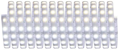 Paulmann 78873 LED-Streifen-Basisset mit Stecker 230V 5m Warmweiß 1 Set von Paulmann