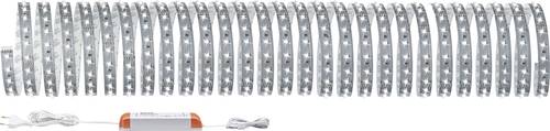 Paulmann MaxLED 500 70830 LED-Streifen-Basisset mit Stecker 24V 10m Tageslichtweiß 1St. von Paulmann