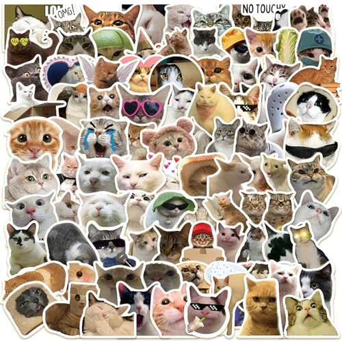 PceGan Katzen Sticker, 100 Stück Aufkleber, Lustig Niedlich Wasserfest Meme Sticker Katzensticker Geschenke für Katzenliebhaber, Sticker Aesthetic für Skateboard Laptop Erwachsene Kinder von PceGan