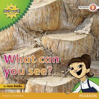 My Gulf World and Me Level 2 non-fiction reader: What can you see? von Pearson ELT