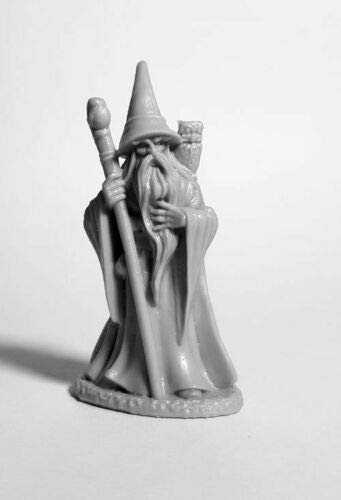 Pechetruite 1 x ANUMINAR WINTERBEARD Wizard - Reaper Bones Miniature zum Rollenspiel Kriegsspiel - 77661 von Pechetruite