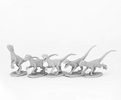 Pechetruite 5 x Raptor Hunting Pack - Reaper Bones Miniature zum Rollenspiel Kriegsspiel - 44081 von Pechetruite