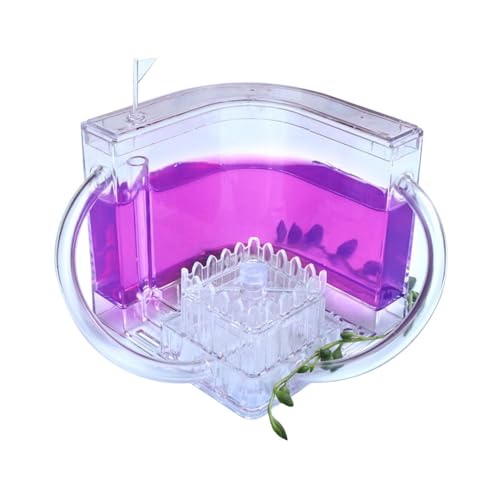 Ameisennest, Ameisenfarm Ameisen Schloss, 3D Ameisen Beobachtungsset, Terrarium für Ameisen, Ameisen Haus mit Gel Ökosystem, Ameisenzuchtset Kinder, Pädagogisches Lernspielzeug für Kinder Erwachsene von Penlimly