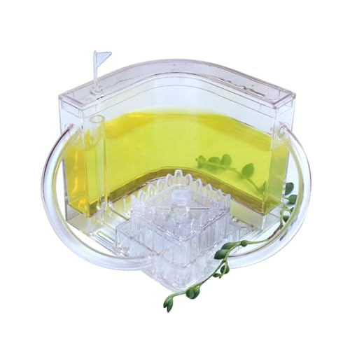 Ameisennest, Ameisenfarm Ameisen Schloss, Ameisen Beobachtungsset, Terrarium für Ameisen, Ameisen Haus mit Gel Ökosystem, Ameisenzuchtset Kinder, Pädagogisches Lernspielzeug für Kinder Erwachsene von Penlimly