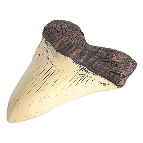 Peowuieu Megalodon Tooth Fossil Riesenhaifischzahn Megalodon Tooth Resin Replica von Peowuieu